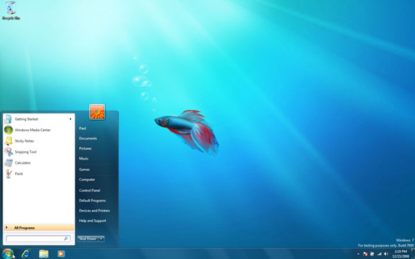 Desktop Ansicht von Windows 7 Professional 64 Bit
